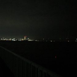 ケンサキ不在…なんとかタチウオGETσ(^_^;)