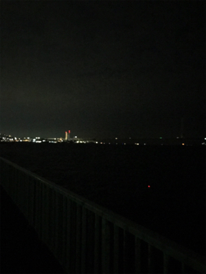 ケンサキ不在…なんとかタチウオGETσ(^_^;)