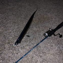 人工島で今年初タチウオ!