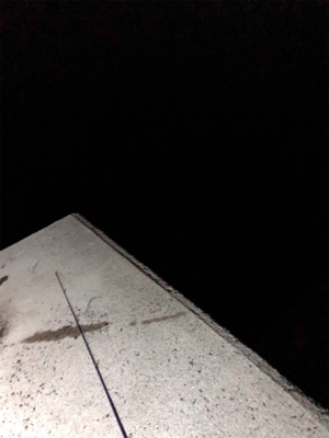 仕事終わりのエギング