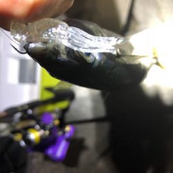 ライトゲーム！