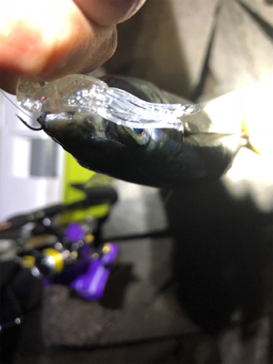 ライトゲーム！