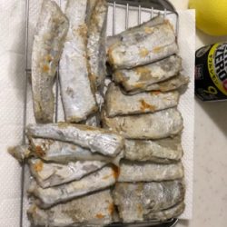 タチウオ連チャン！