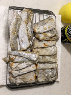 タチウオ連チャン！