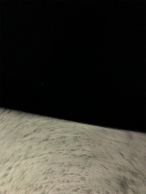 雨が降る前の短時間釣行