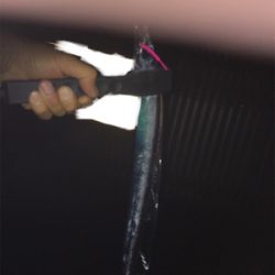 初めてのゲスト