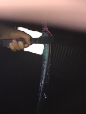 初めてのゲスト