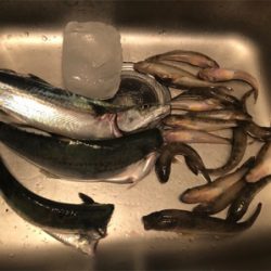 まさかの！！！！！