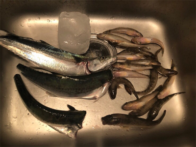 まさかの！！！！！