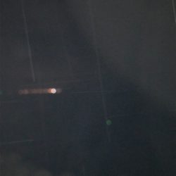 台風後の調査！