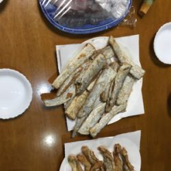 爆釣！！！！！！