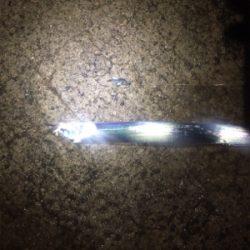 まだまだ小さい