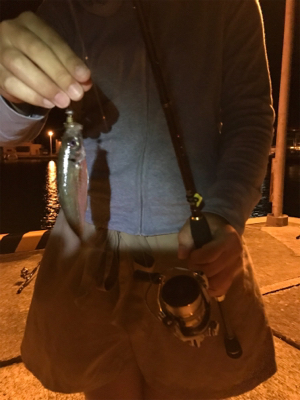 御所浦釣行2日目