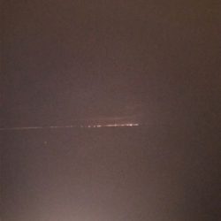 気まぐれタチ！