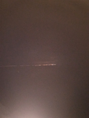 気まぐれタチ！