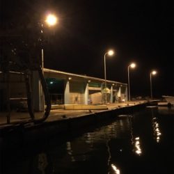 台風後、初アジング