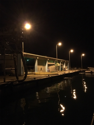 台風後、初アジング