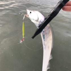 オカズ確保指令（笑）