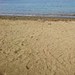 エギング釣行その28