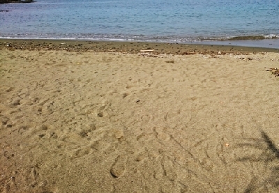 エギング釣行その28