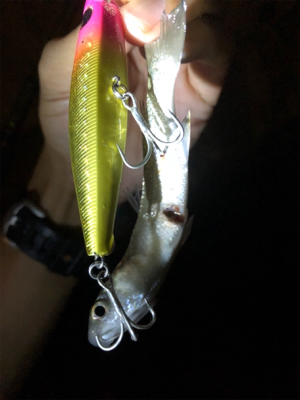 シーバススーパーボイル！