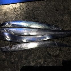 食品コンビナートにて。