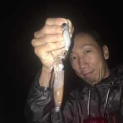 剣先イカナイトゲーム♪