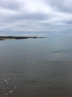 サゴ・サゴ・ガッシー