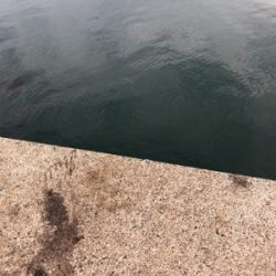 サイズアップしてました