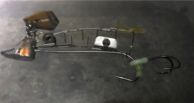 タチウオ好調‼︎