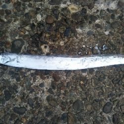 辰巳でタチウオとチヌ