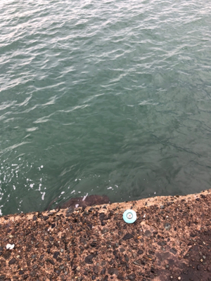 買い物帰りに短時間釣行