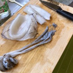 男鹿半島椿港アオリイカエギング