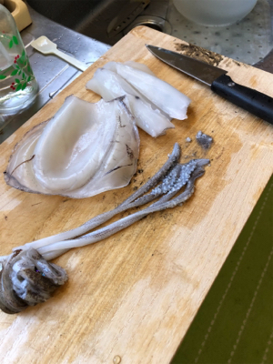 男鹿半島椿港アオリイカエギング