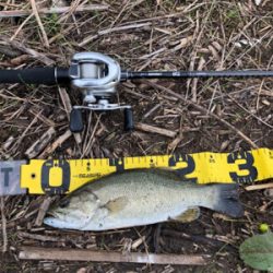 夕まずめに淀川♪