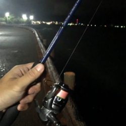 濁りまくりアジング