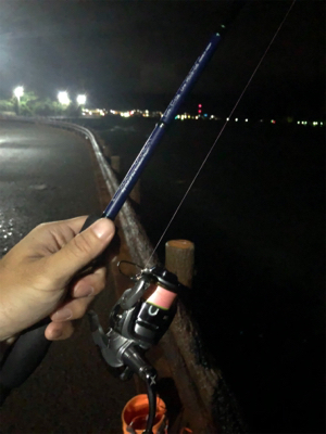 濁りまくりアジング