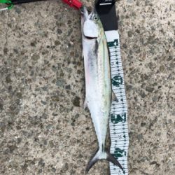 この後時期。いつもなら…