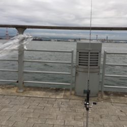 なんとか釣れた