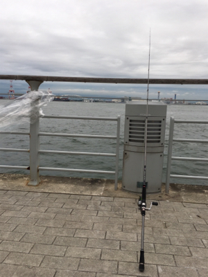 なんとか釣れた