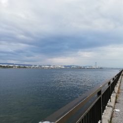 子供と一緒にジグサビキ