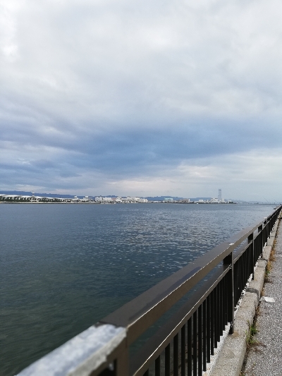 子供と一緒にジグサビキ