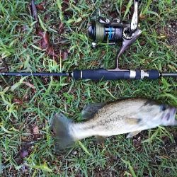 子供とバス釣り