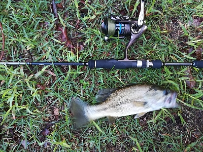 子供とバス釣り