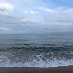 サーフでサゴシ