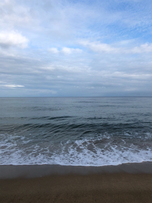 サーフでサゴシ