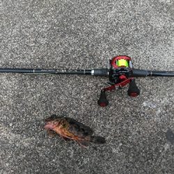 久し振りの上瀬