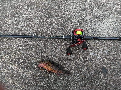 久し振りの上瀬