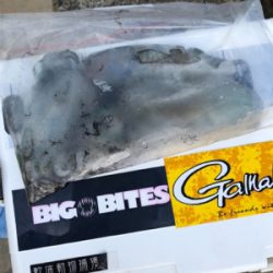 しまなみエギング そろそろ本番