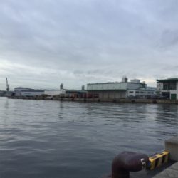 サバサバサバ！